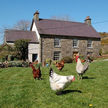 Nantgwynfaen Organic Farm Wales Villa Llandysul Eksteriør bilde