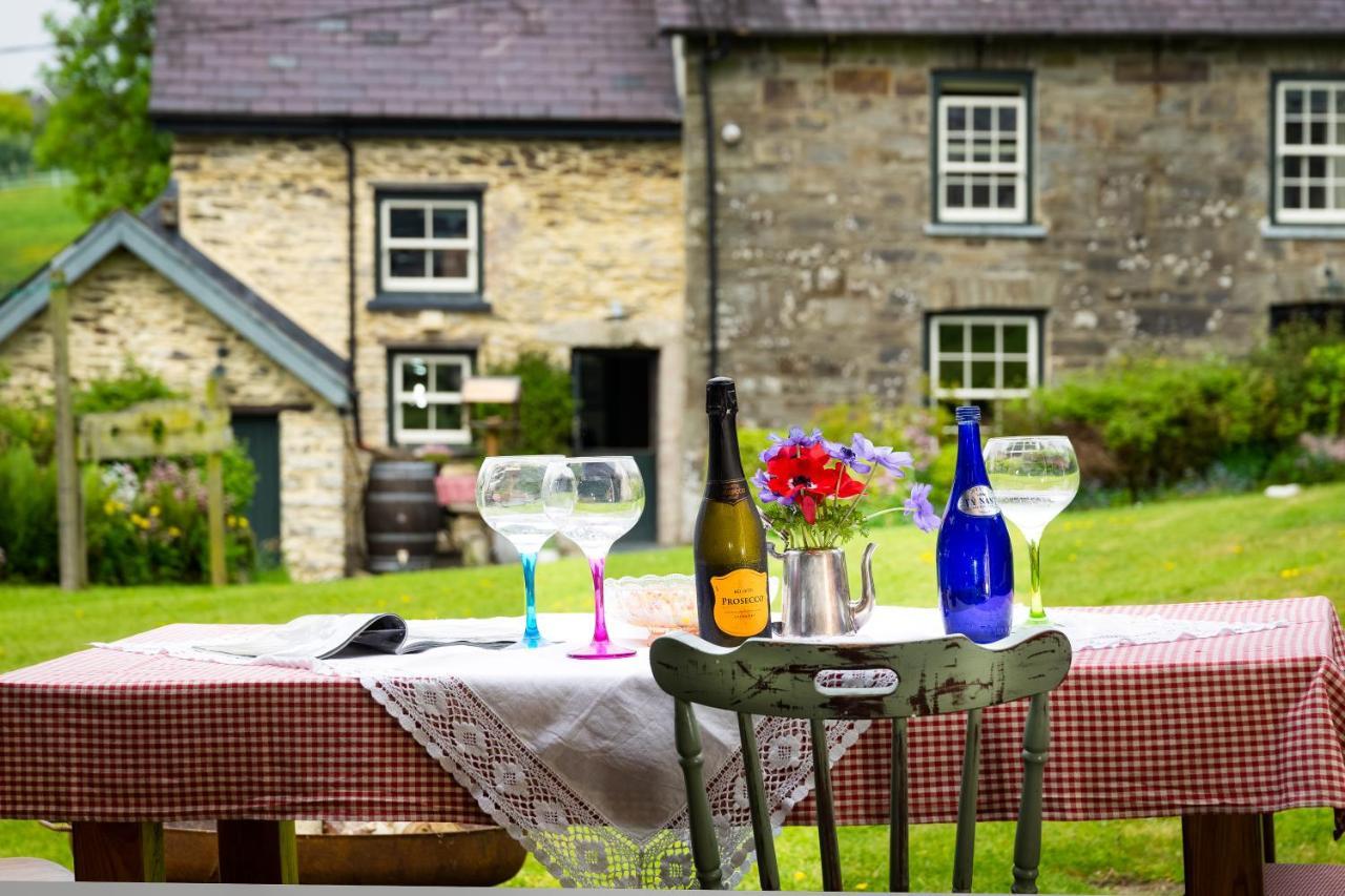 Nantgwynfaen Organic Farm Wales Villa Llandysul Eksteriør bilde