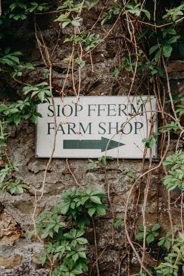 Nantgwynfaen Organic Farm Wales Villa Llandysul Eksteriør bilde