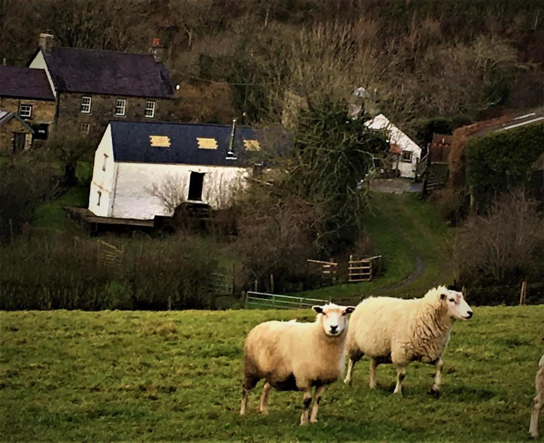 Nantgwynfaen Organic Farm Wales Villa Llandysul Eksteriør bilde
