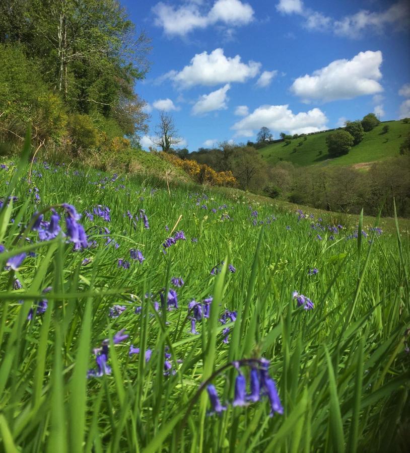Nantgwynfaen Organic Farm Wales Villa Llandysul Eksteriør bilde