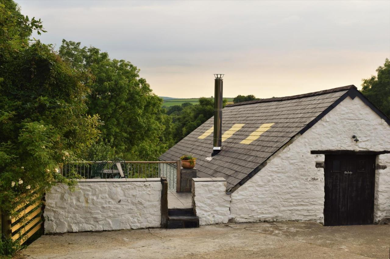 Nantgwynfaen Organic Farm Wales Villa Llandysul Eksteriør bilde