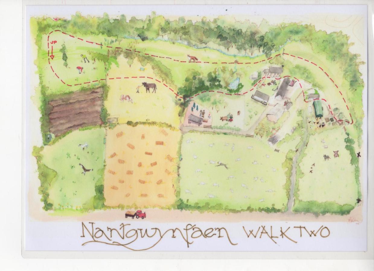 Nantgwynfaen Organic Farm Wales Villa Llandysul Eksteriør bilde