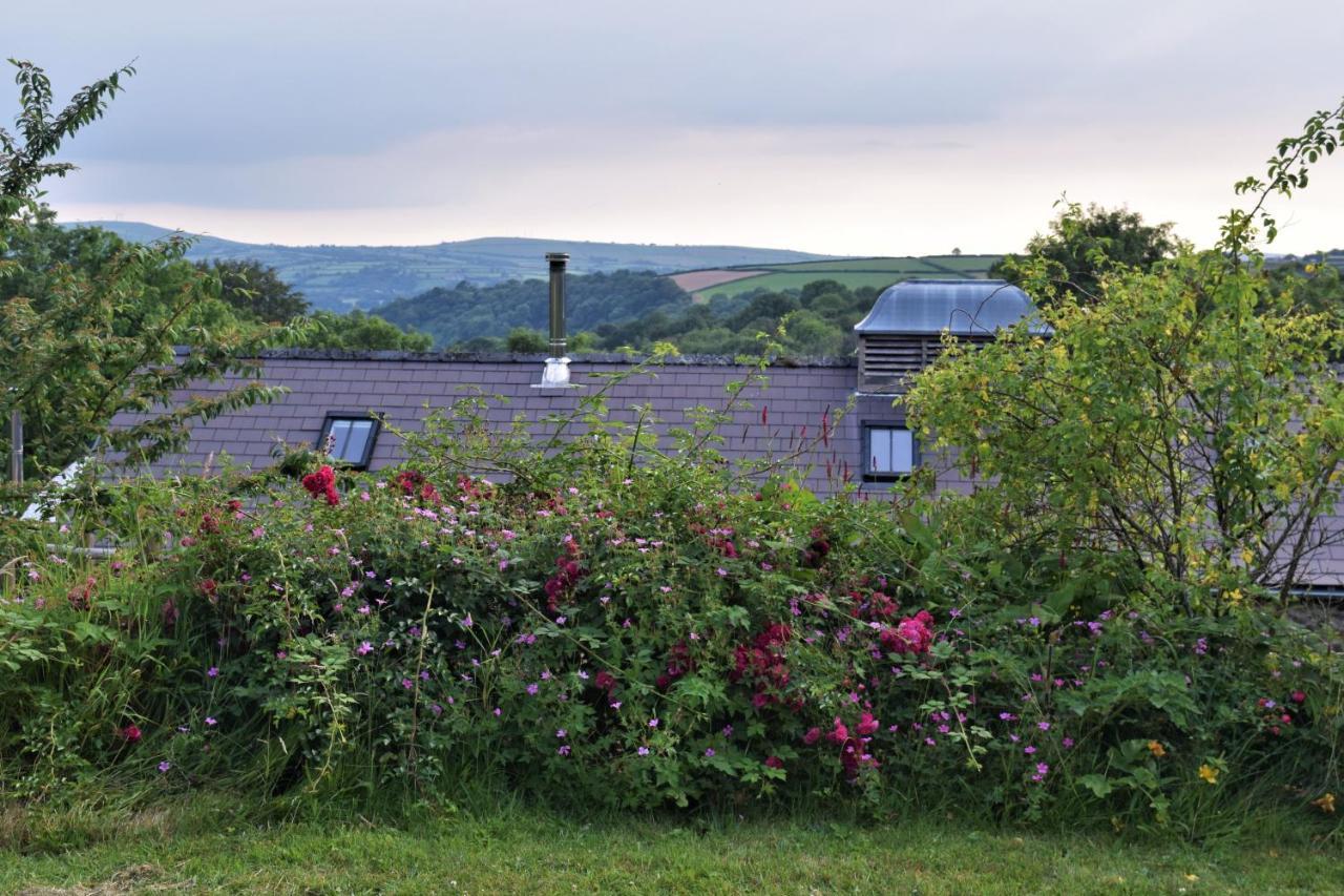 Nantgwynfaen Organic Farm Wales Villa Llandysul Eksteriør bilde
