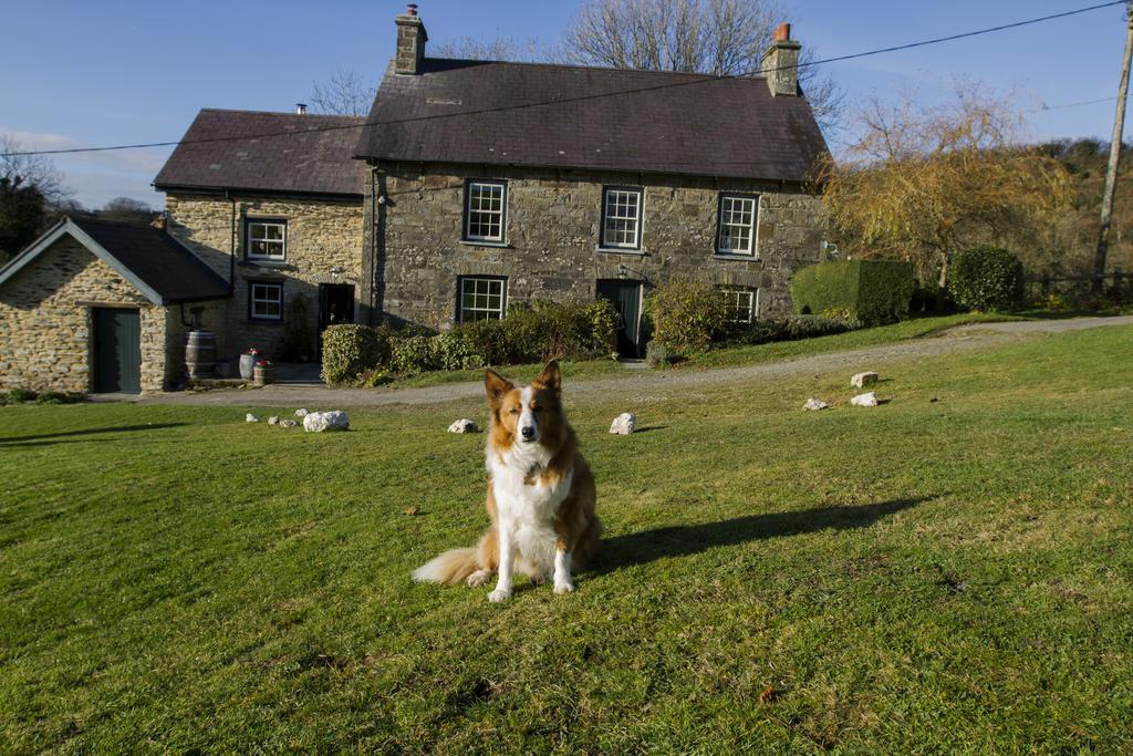 Nantgwynfaen Organic Farm Wales Villa Llandysul Eksteriør bilde